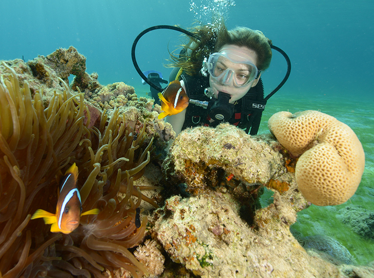 'מנטה' מרכז צלילה ישרוטל