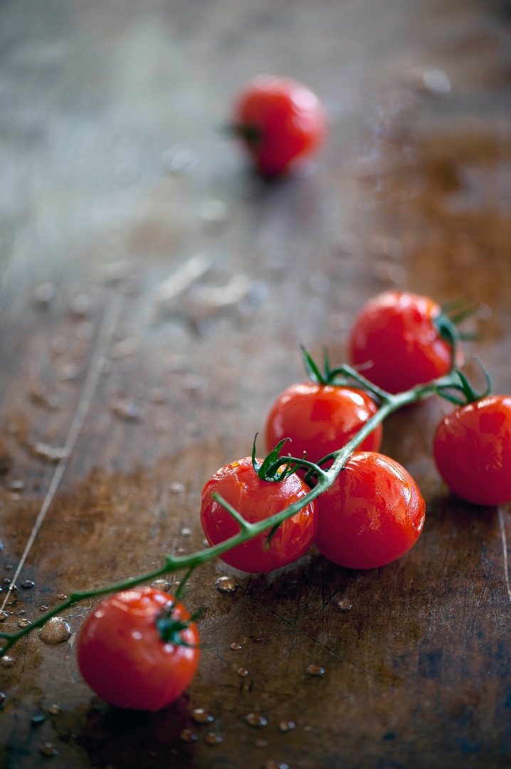 Carmel Forest Launches Cookbook In English
