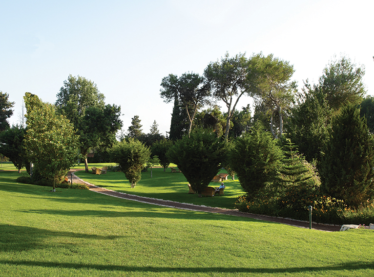 אחוזת יערות הכרמל