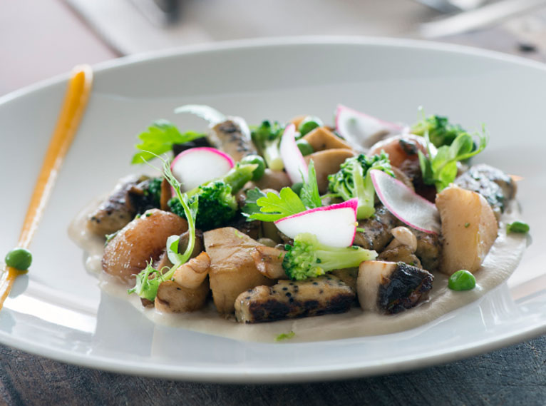 אחוזת יערות הכרמל