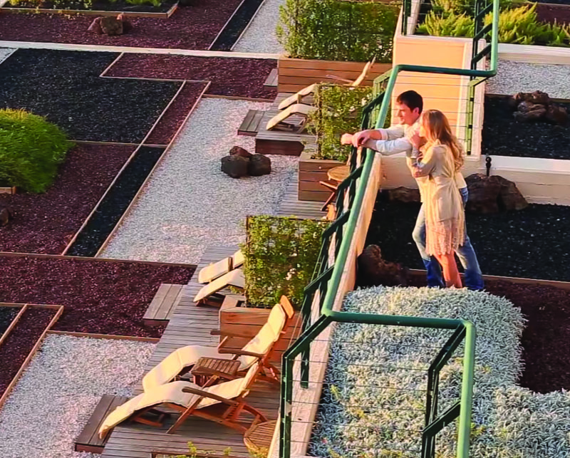 אחוזת יערות הכרמל 