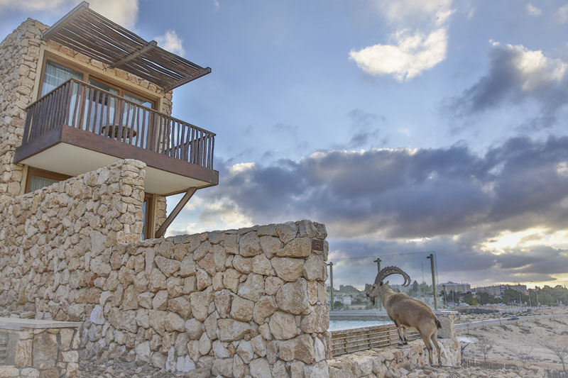 בראשית חדר בשקיעה