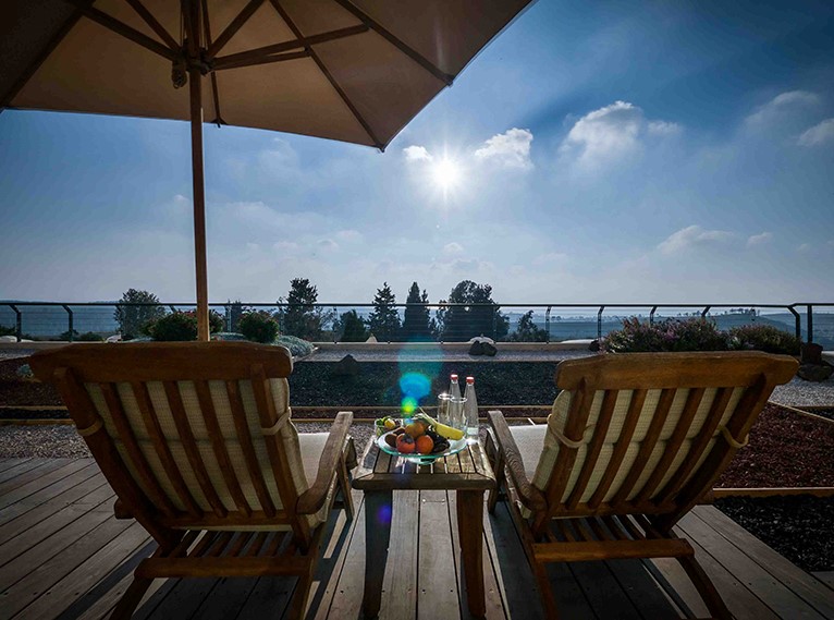 אחוזת יערות הכרמל 