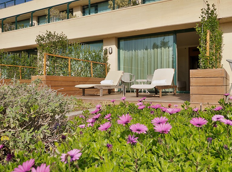 אחוזת יערות הכרמל