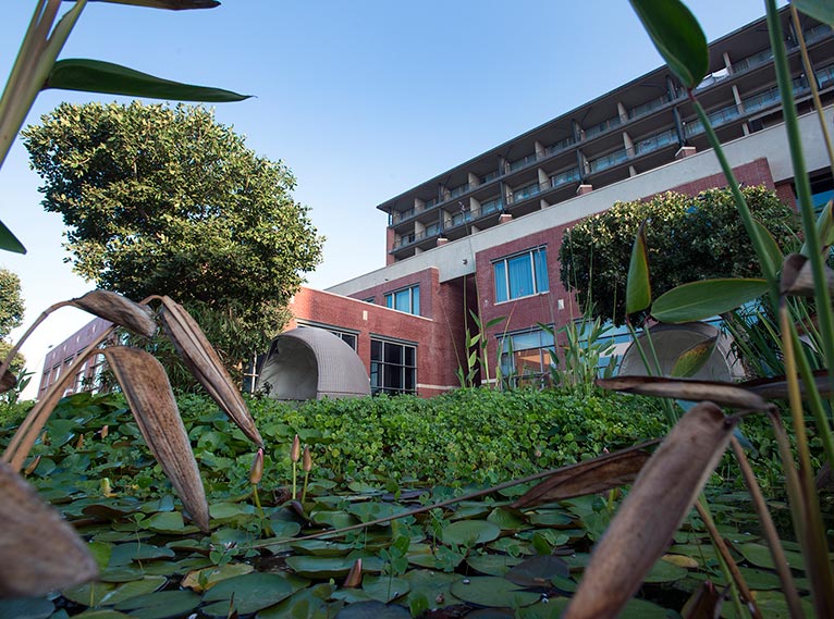 גינה מלון כרמים