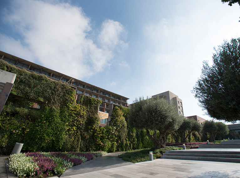 כניסה לפאטיו מלון כרמים