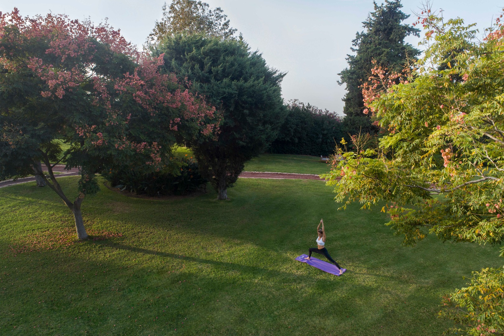 אחוזת יערות הכרמל