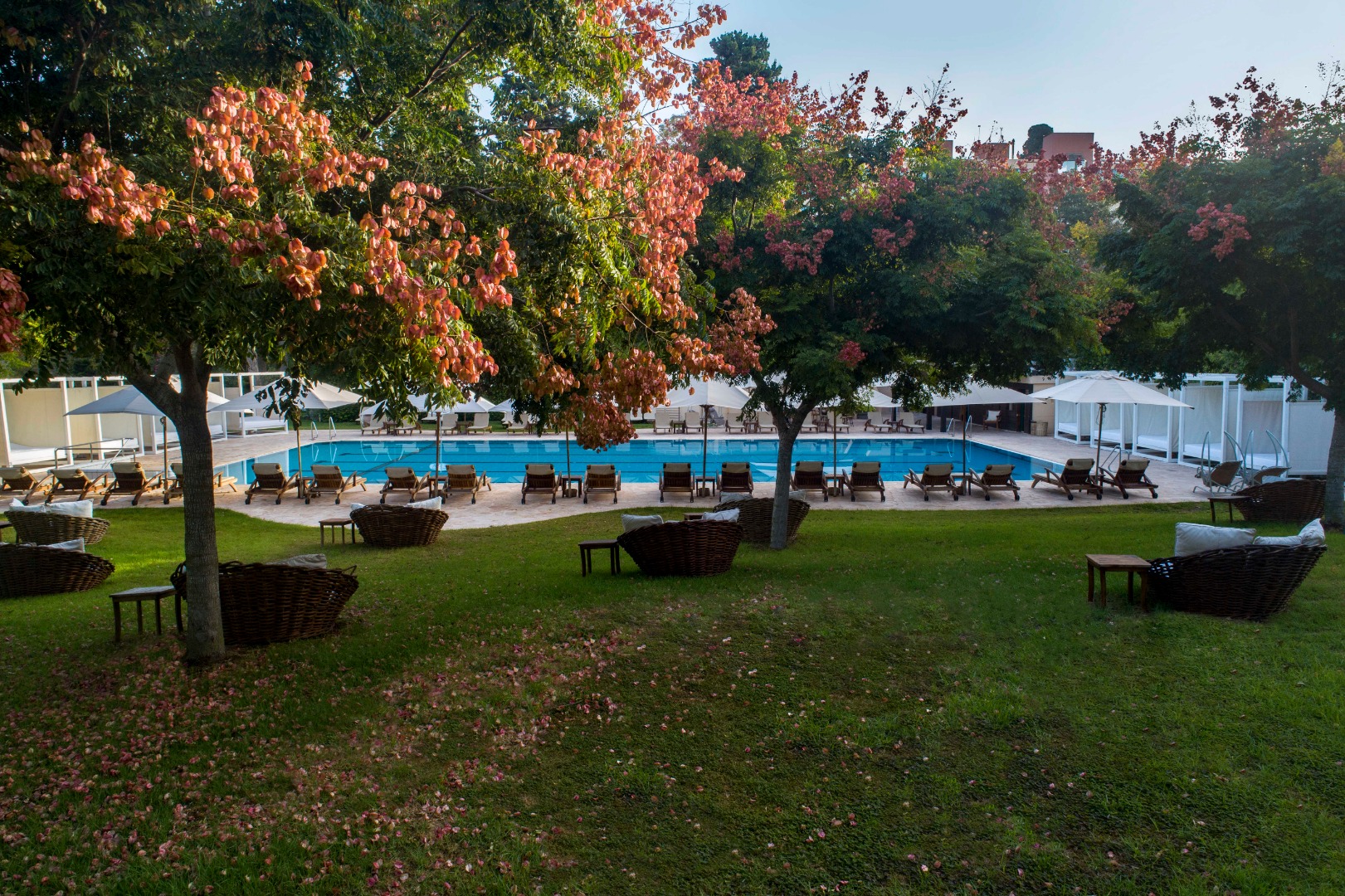 אחוזת יערות הכרמל 