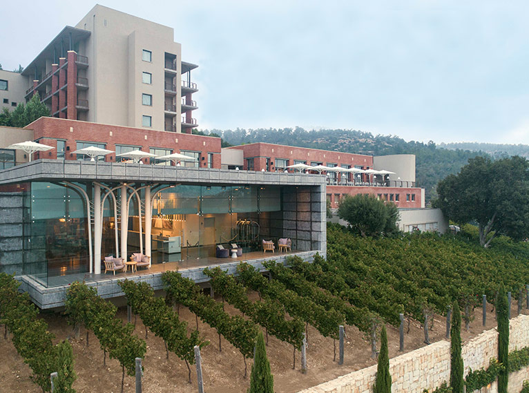 תמונת רחפן מלון כרמים