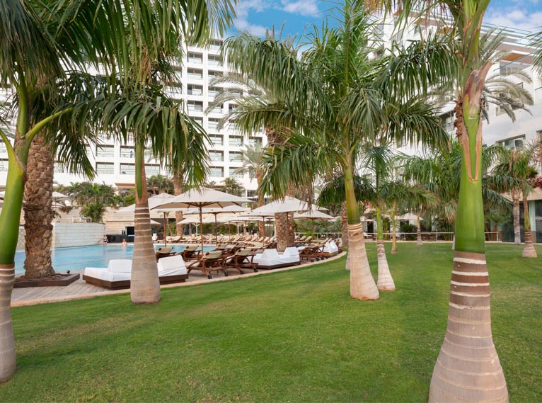 ישרוטל ים המלח מדשאות בריכה