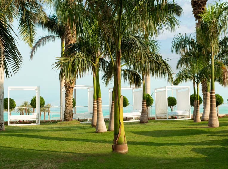 ישרוטל ים המלח מדשאות