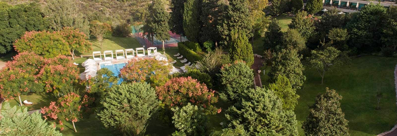 אחוזת יערות הכרמל 